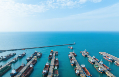 國際貨物運輸代理公司：咖啡進口的全程護航者