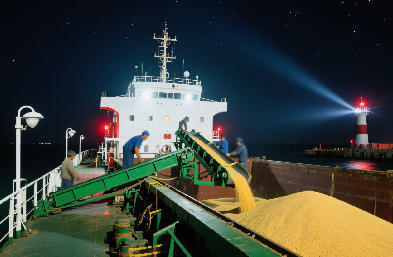 國際貨運(yùn)代理：海運(yùn) / 空運(yùn) / 陸運(yùn)全航線，訂艙到派送一站搞定